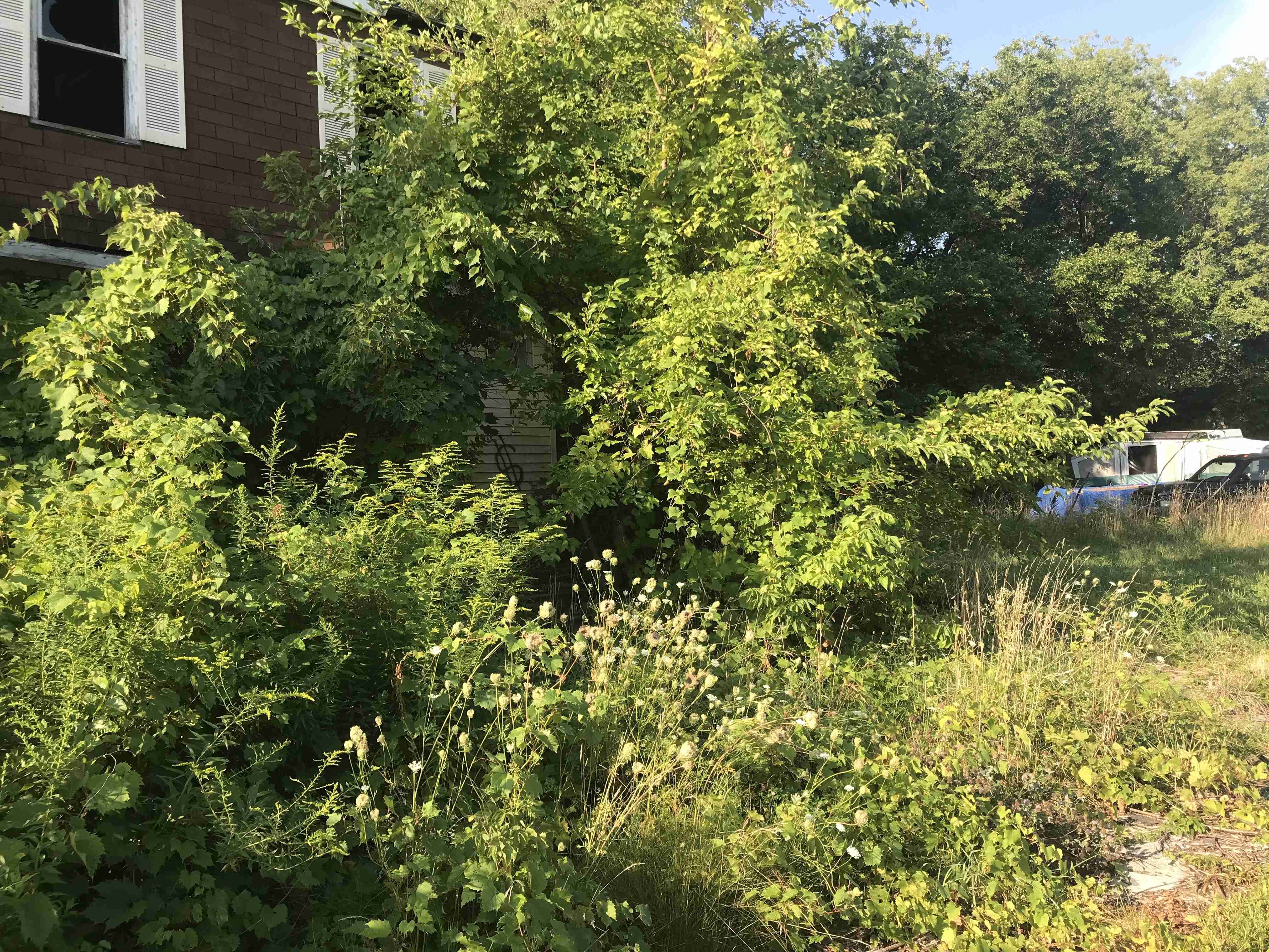 Photo Aug 24, 9 15 32 AM.jpg